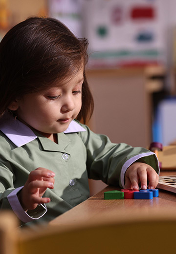 The Smart School Students